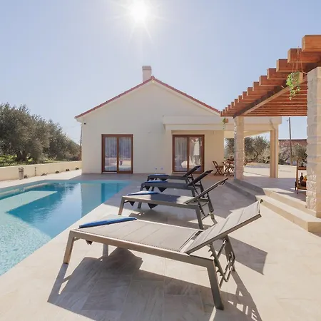 House Terra * Dograde